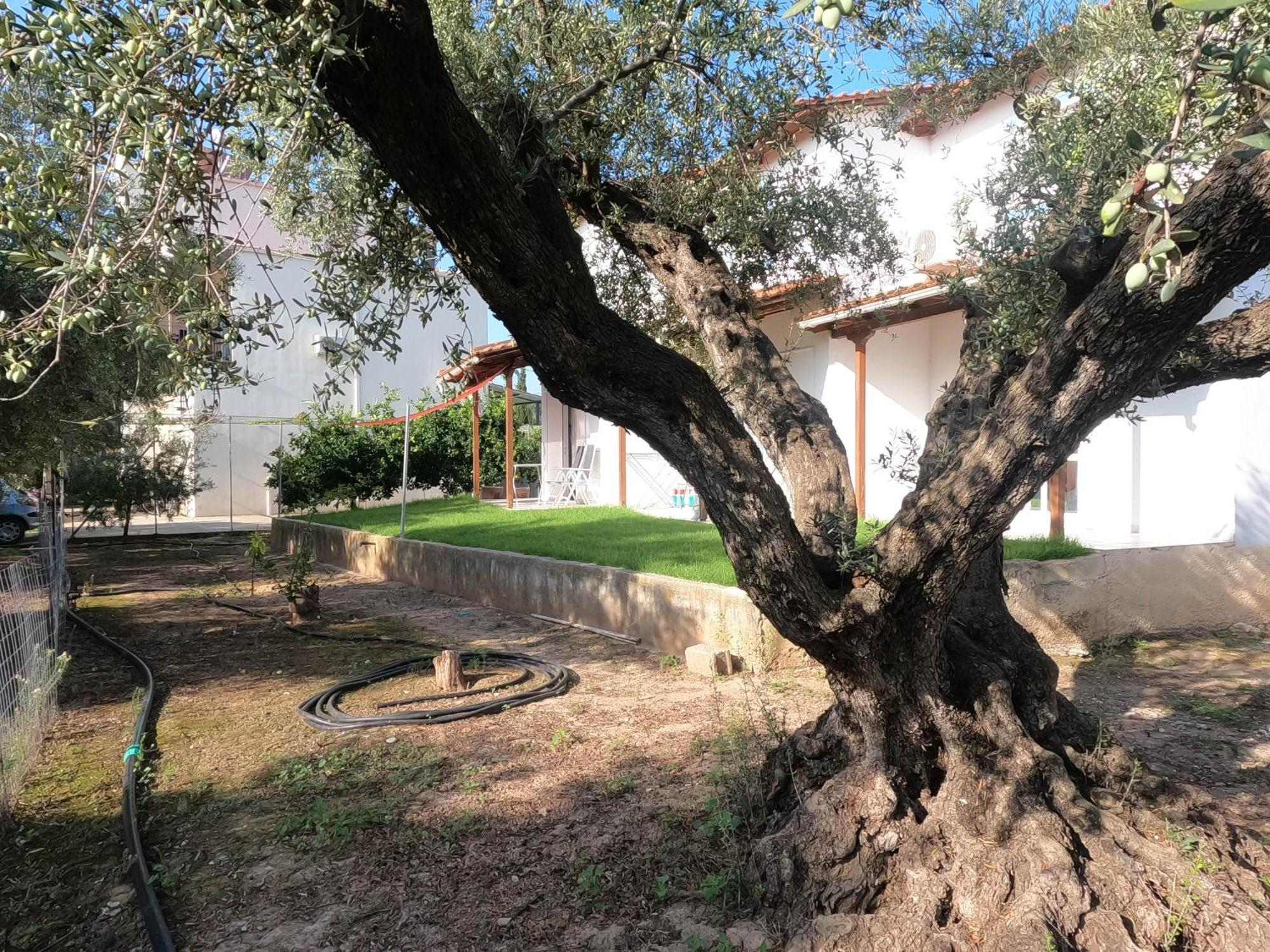 Villa Spiti Ostria Aigio Esterno foto